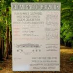 Geomagnetic Biowork - immagine 2