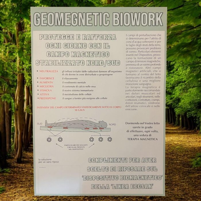 Geomagnetic Biowork - immagine 2