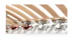 Rete in Legno Mod. Ergo Comfor - immagine 2