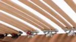 Rete in legno Mod. Ergo Flex Sanity - immagine 3