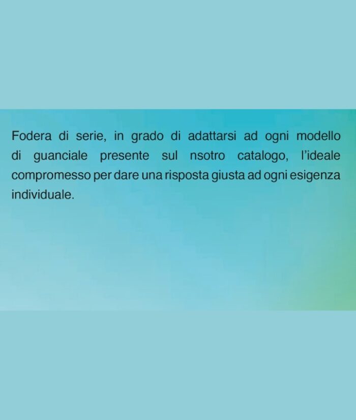 Fodera copri cuscino SILVER - immagine 2